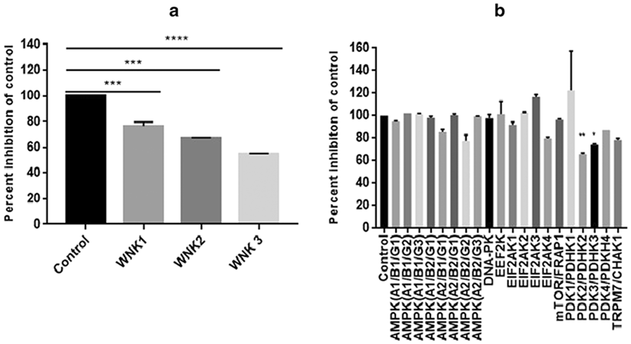 Fig. 2: