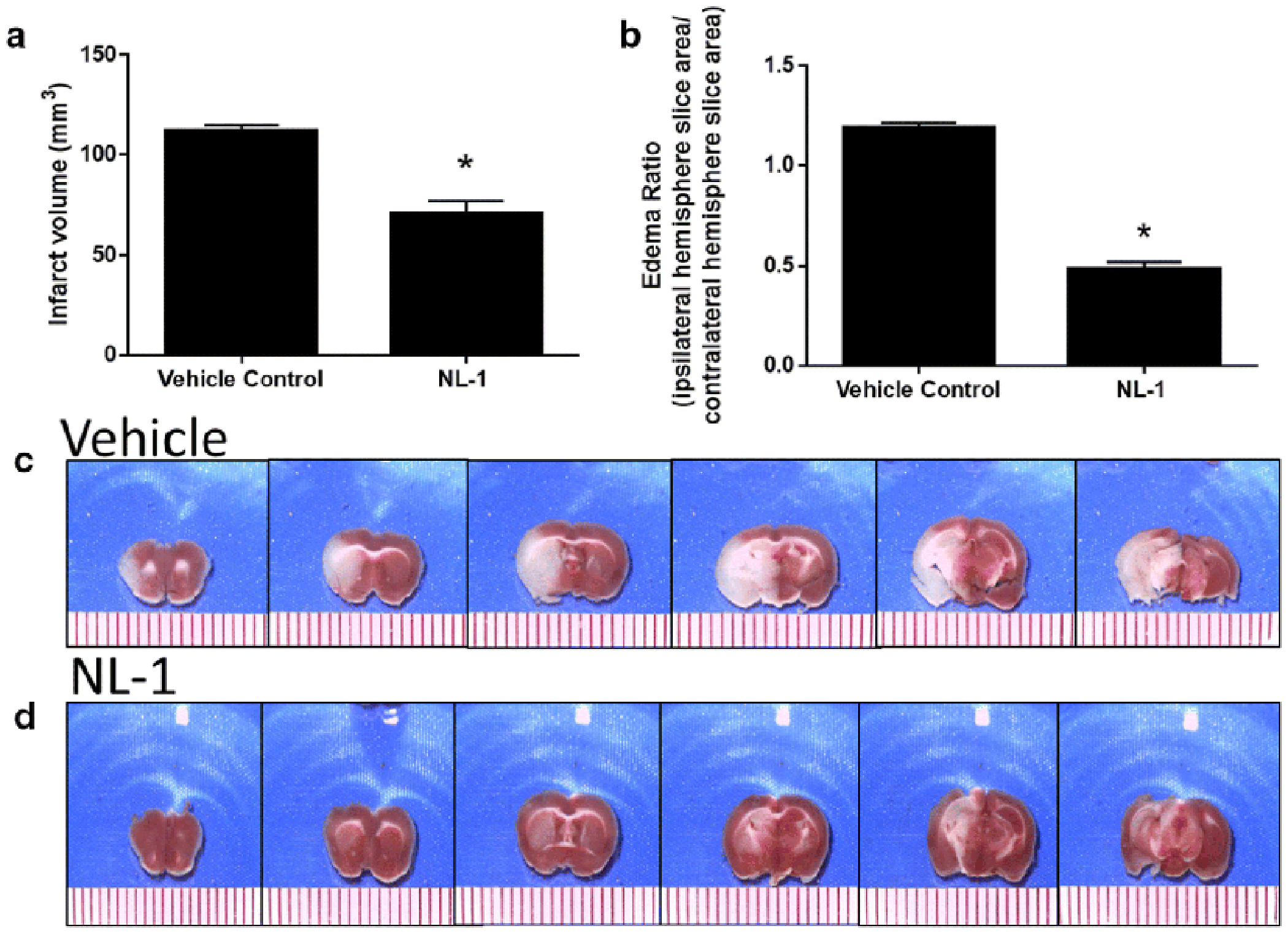 Fig. 11.