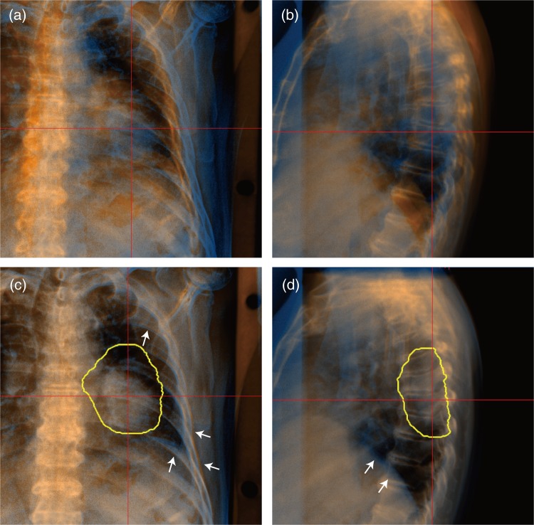 Fig. 5. 