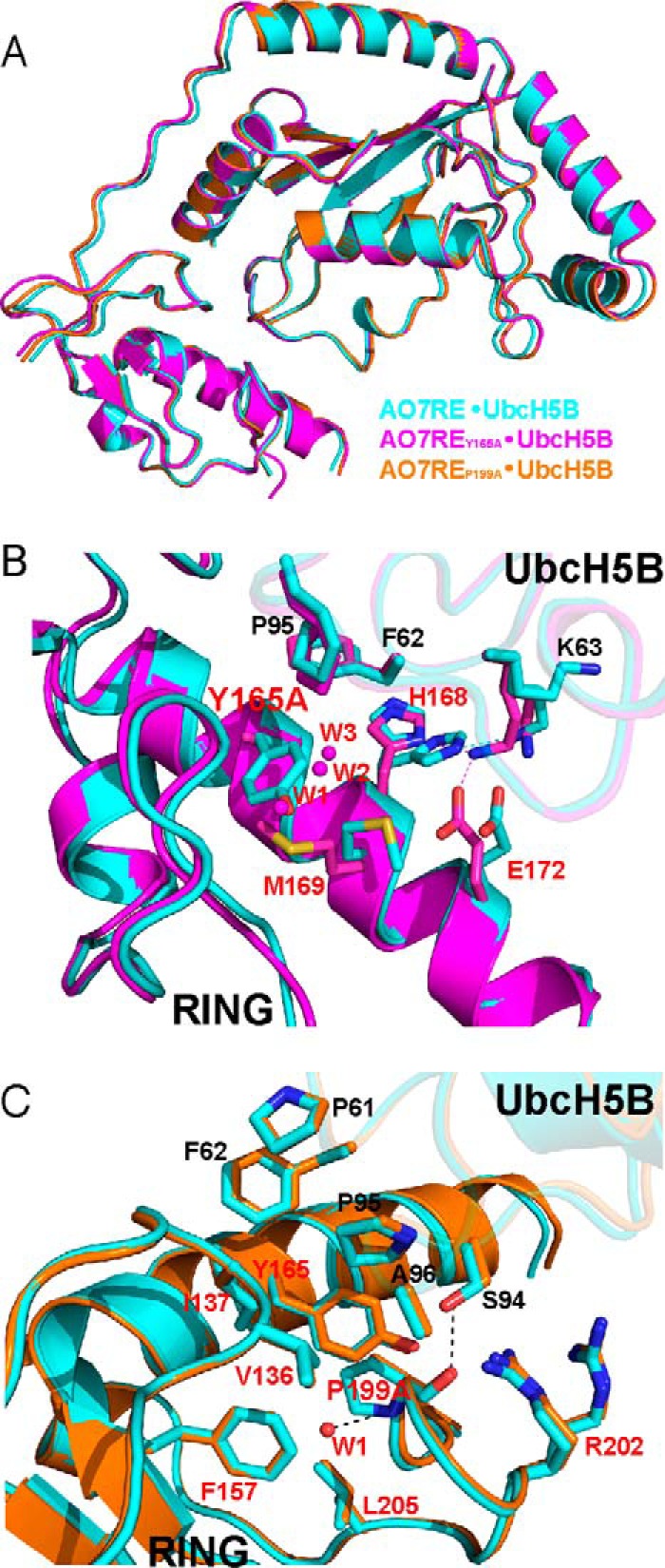 FIGURE 7.