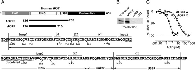 FIGURE 1.