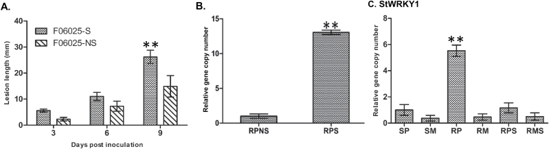 Fig. 6.