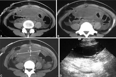 Fig. 9.