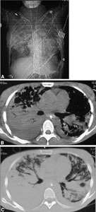 Fig. 8.