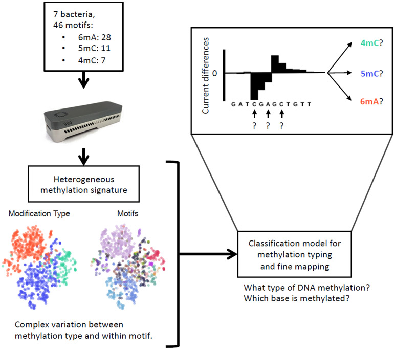 Figure 1: