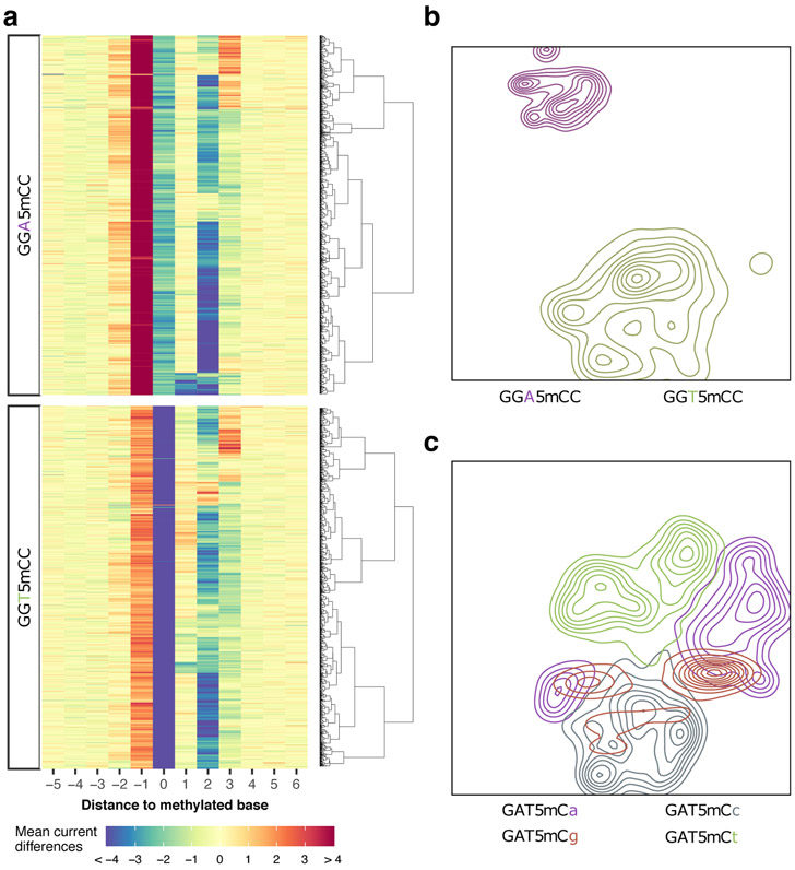 Figure 3: