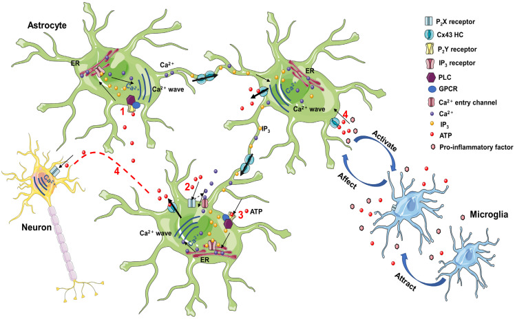 Figure 2