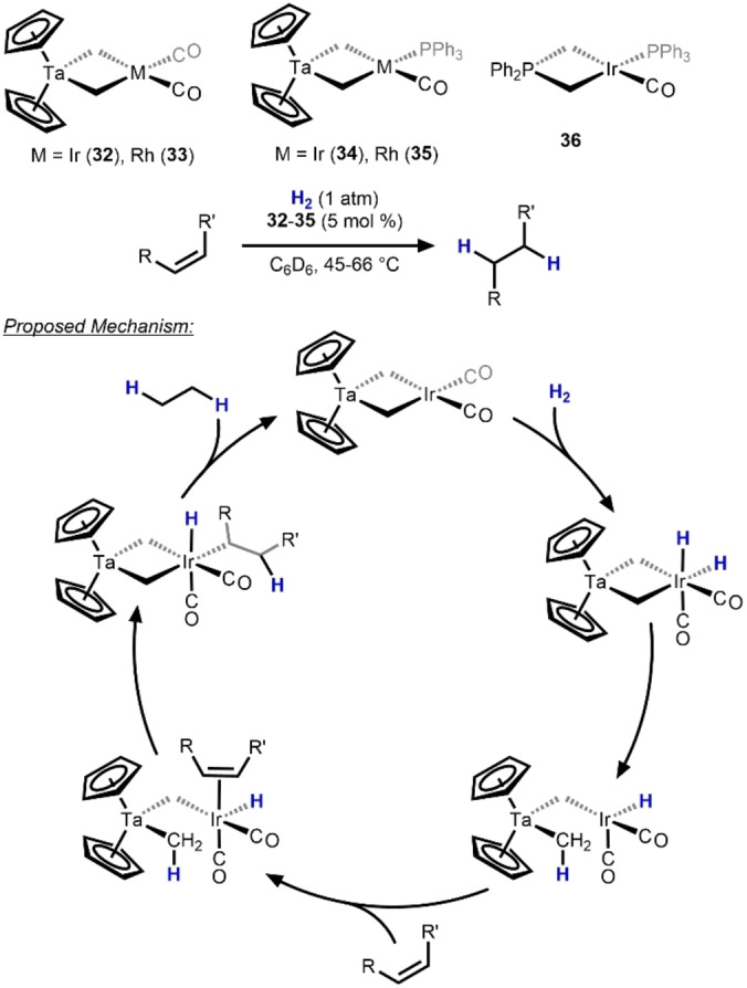 Scheme 12