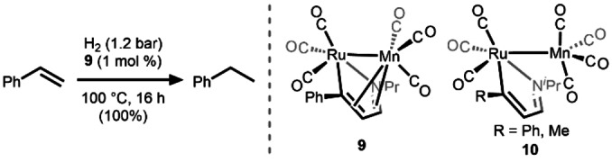 Scheme 4