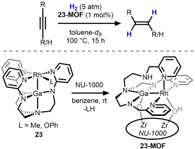 Scheme 8