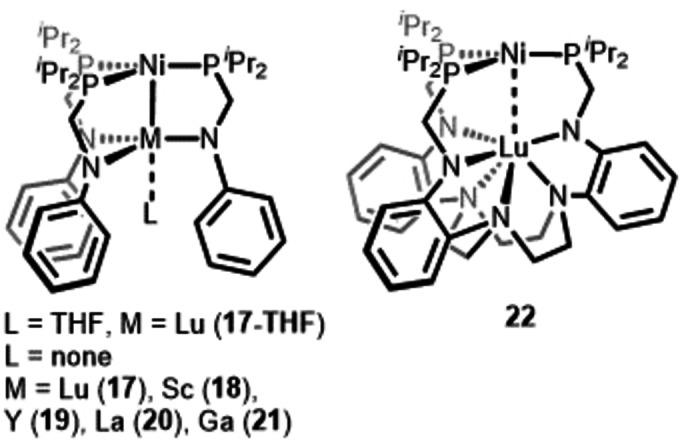 Scheme 7