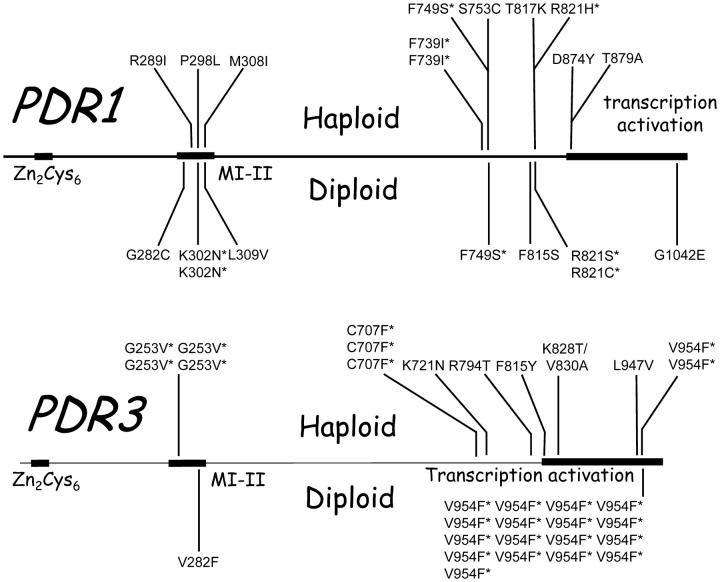 Figure 4.—