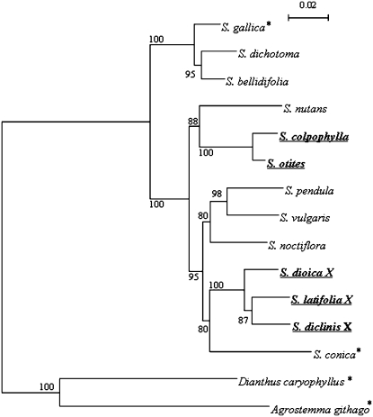 Figure 1.—