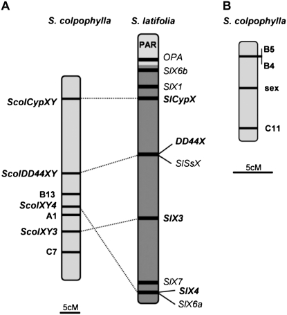 Figure 2.—