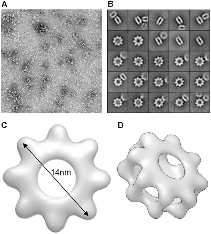 Fig 3