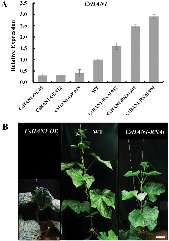 Fig. 4.