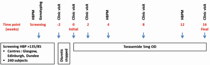 Graphical Abstract