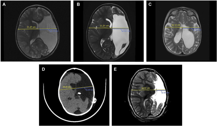 FIGURE 1.