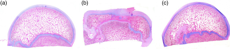 Figure 6.