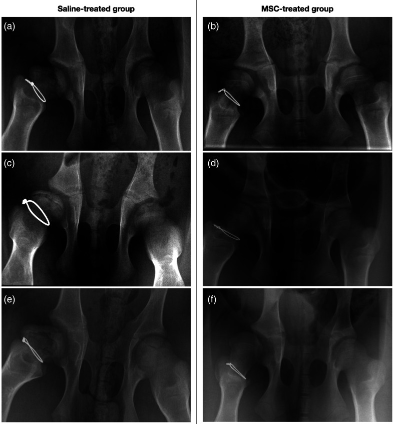Figure 3.