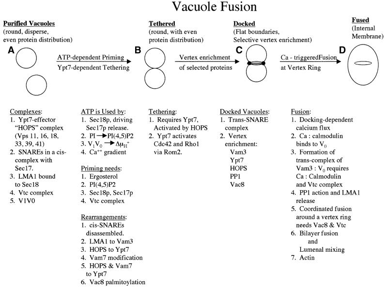 graphic file with name cdf133f3.jpg