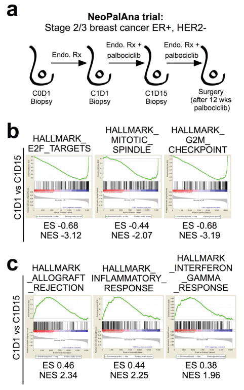 Extended Data Figure 5