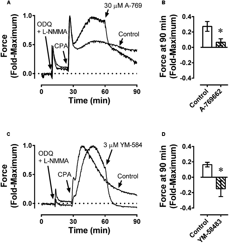 FIGURE 11