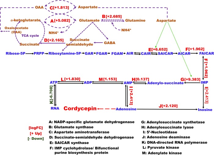 Fig 2