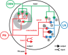 Figure 15