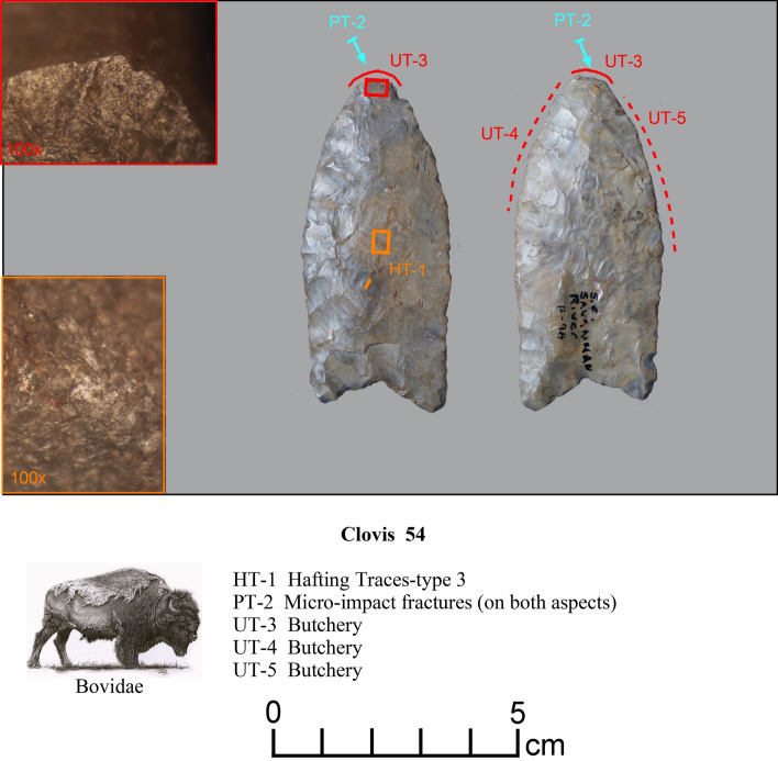 Figure 14