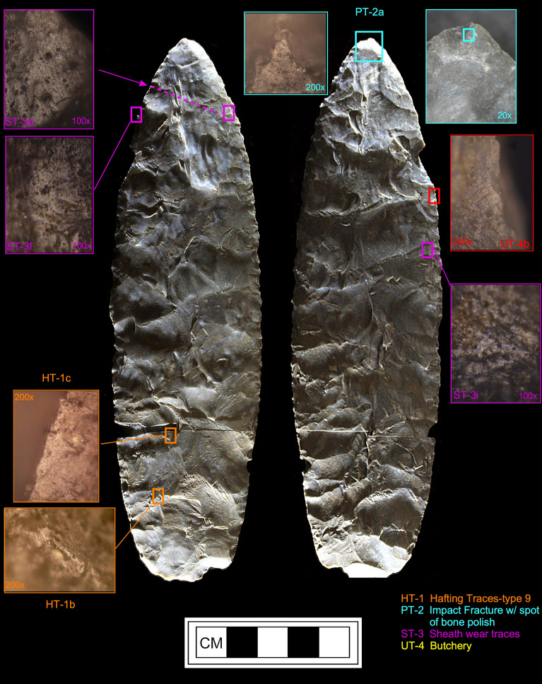 Figure 11