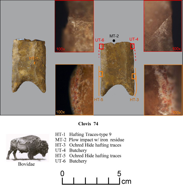 Figure 15