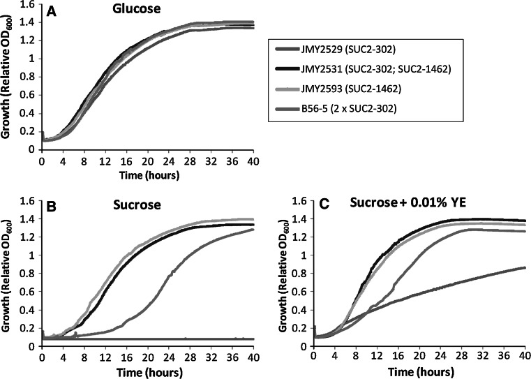 Fig. 2