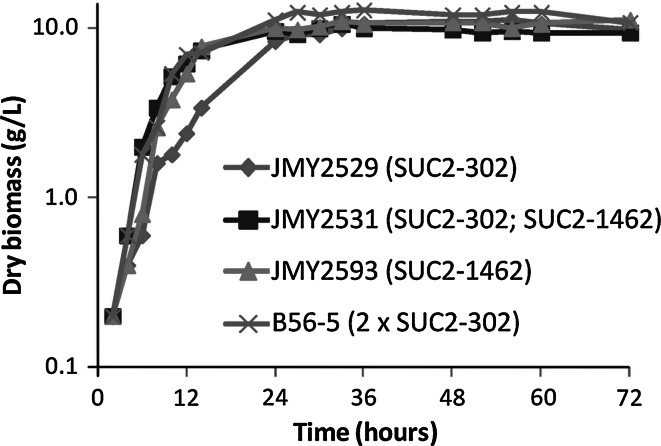 Fig. 3