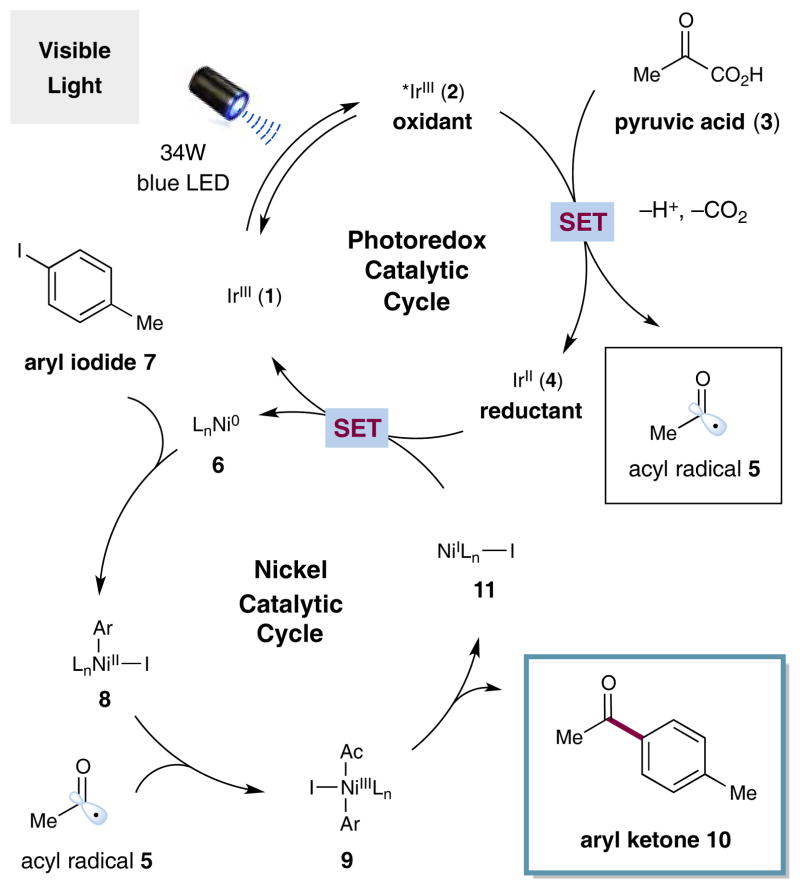 Scheme 1