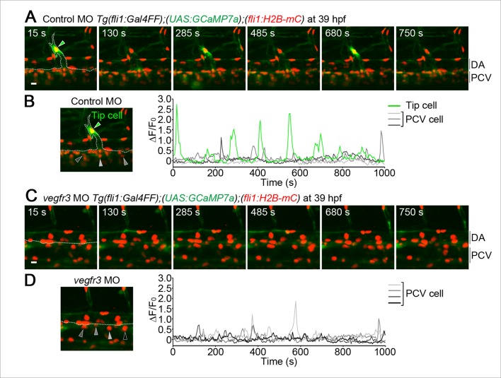 Figure 2—figure supplement 3.