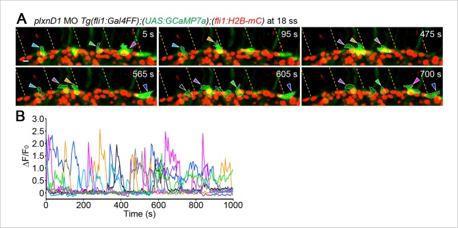 Figure 4—figure supplement 3.