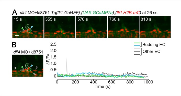 Figure 9—figure supplement 2.