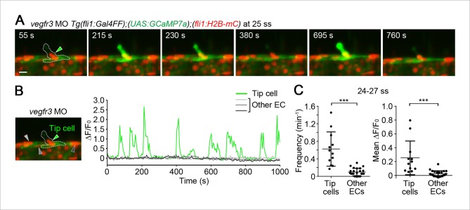 Figure 2—figure supplement 2.