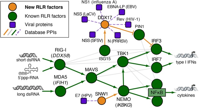 Fig 3