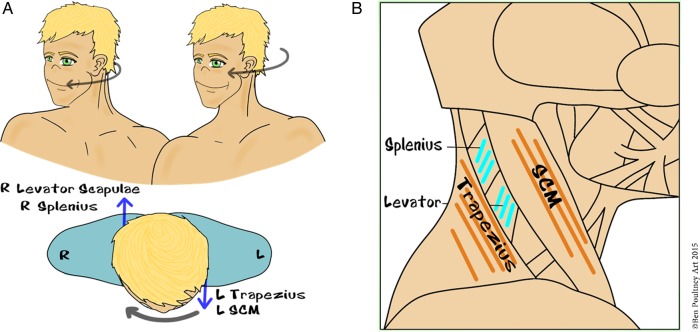 Figure 4