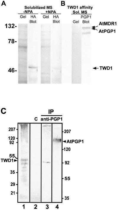 Figure 6.