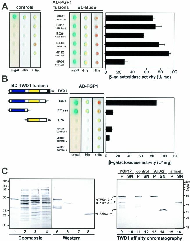 Figure 2.