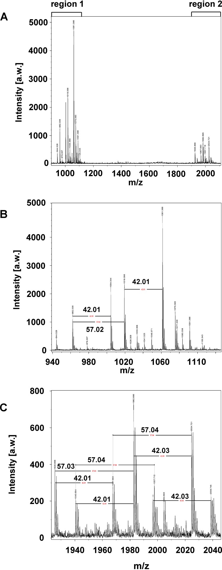 FIG 3