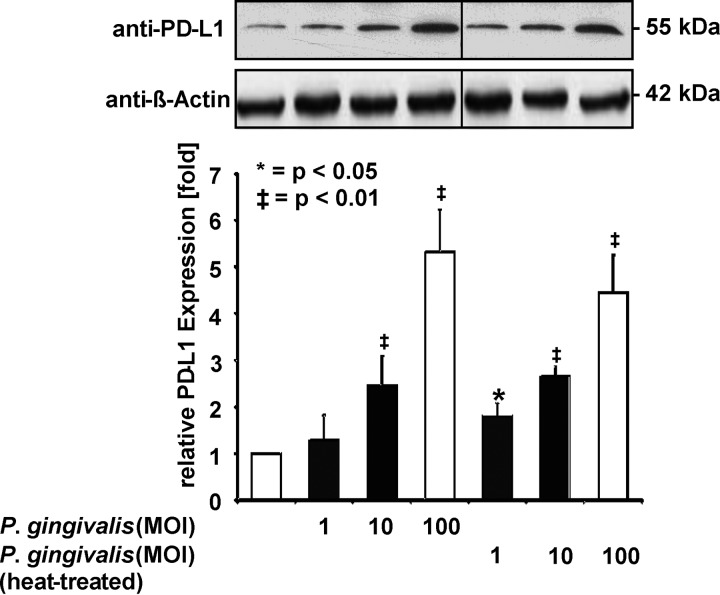 FIG 1