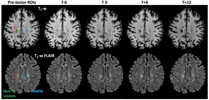 Figure 1.