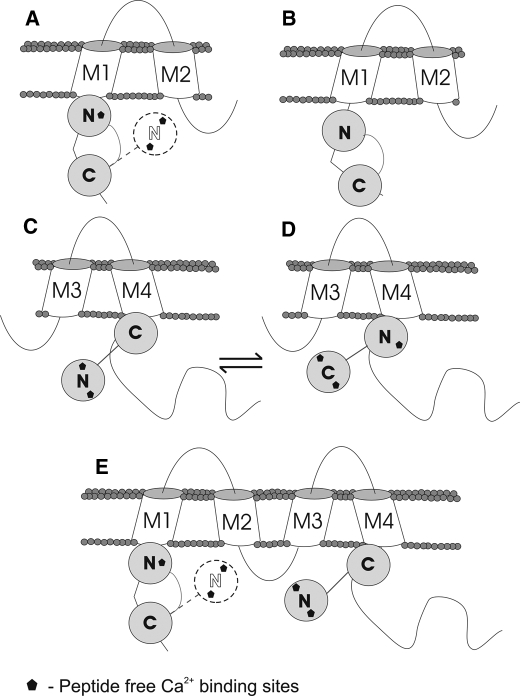 FIGURE 7.