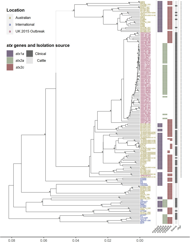 FIGURE 1