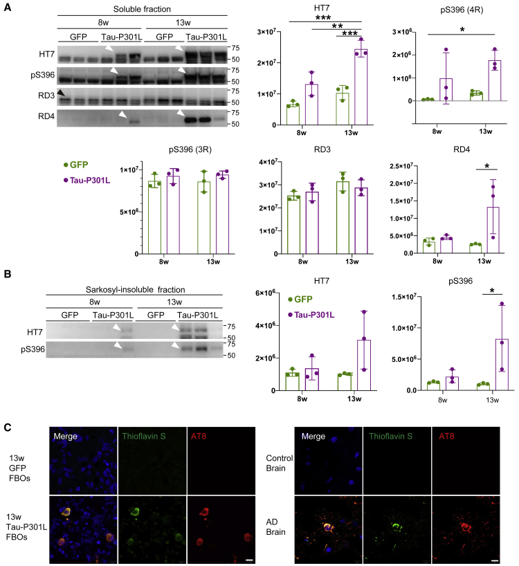 Figure 4