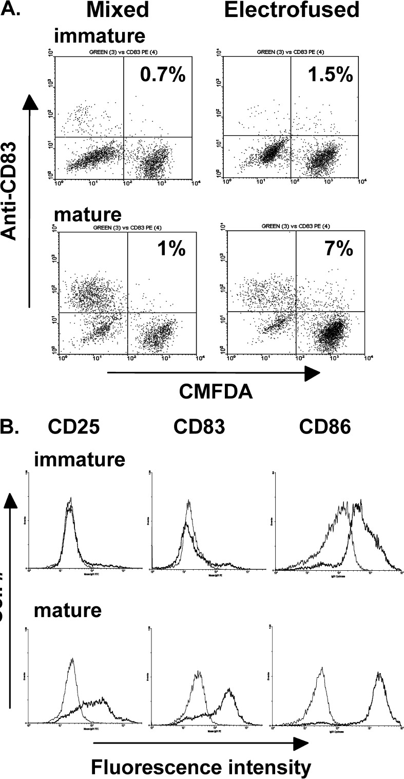 Fig. 7